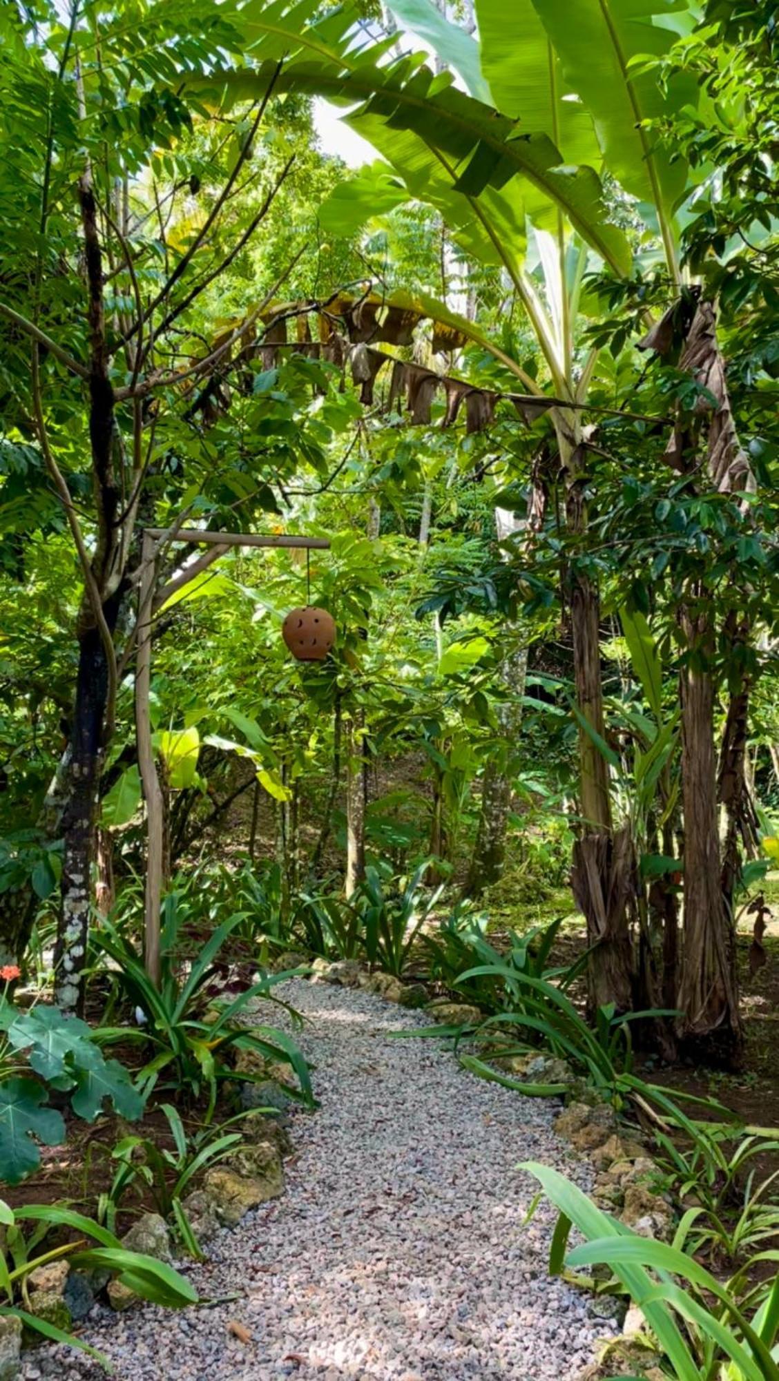 Rancho Romana Ecolodge Park V-01 El Limon Εξωτερικό φωτογραφία