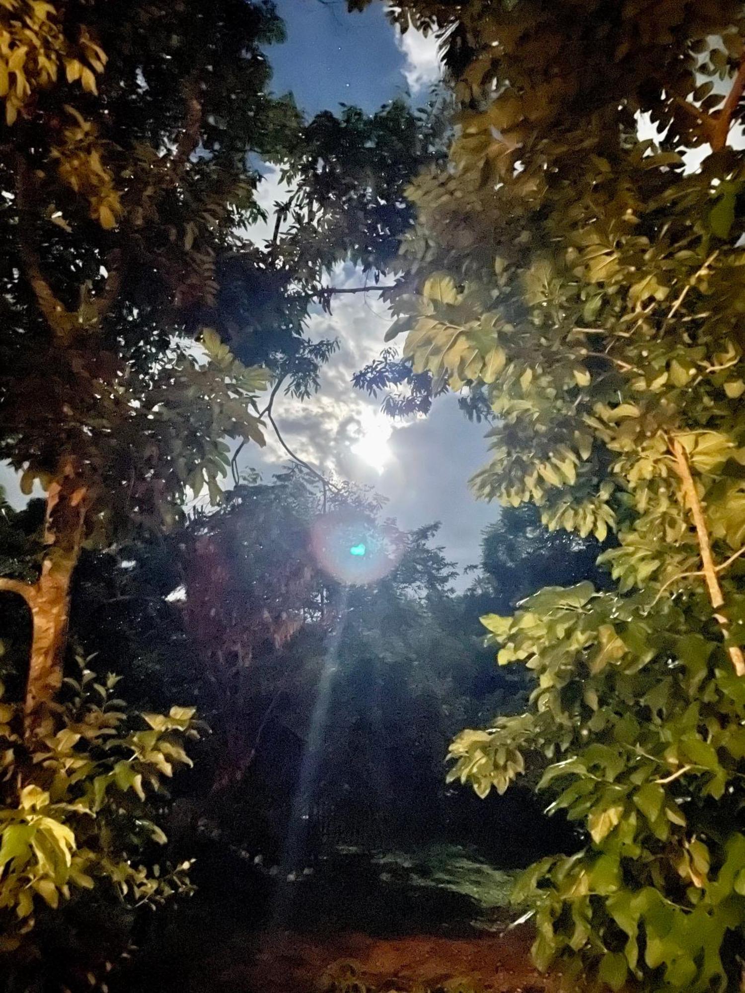 Rancho Romana Ecolodge Park V-01 El Limon Εξωτερικό φωτογραφία