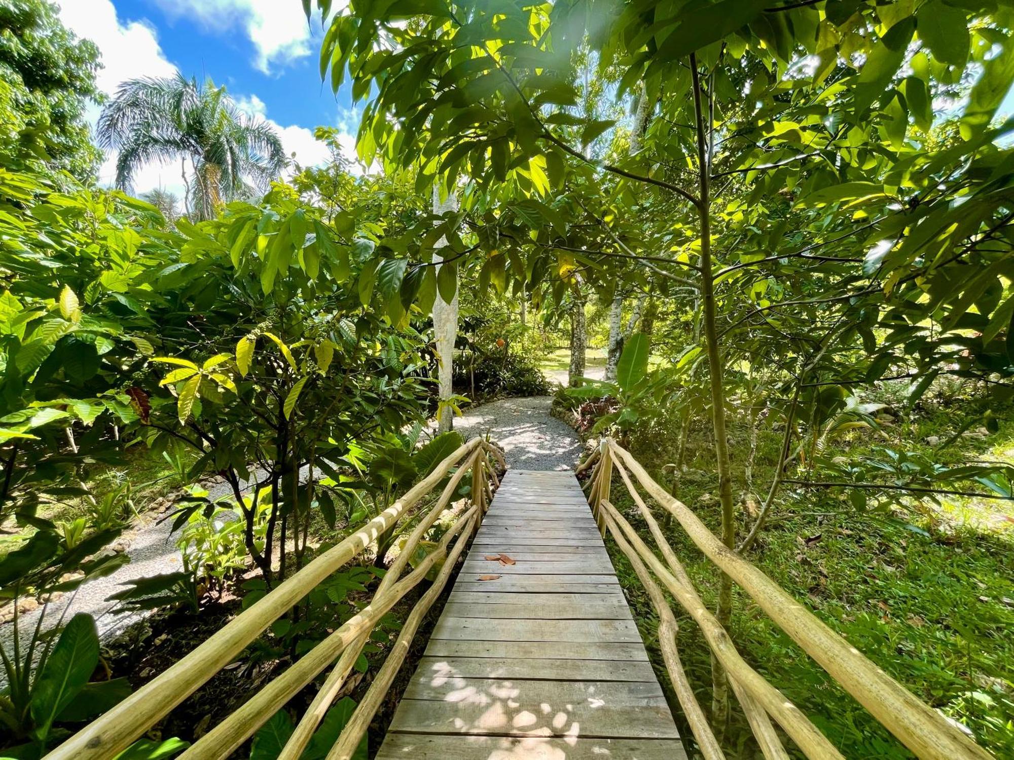 Rancho Romana Ecolodge Park V-01 El Limon Εξωτερικό φωτογραφία
