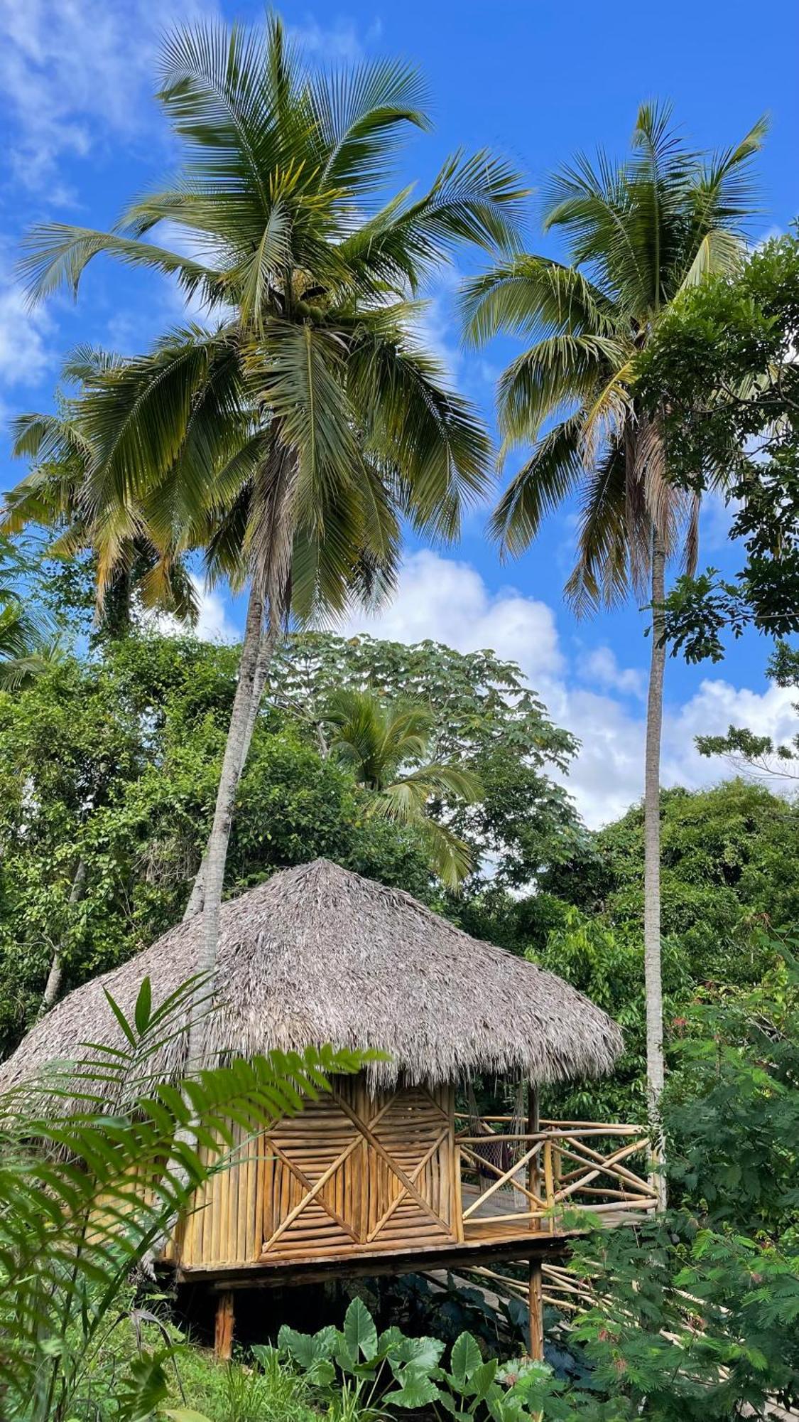 Rancho Romana Ecolodge Park V-01 El Limon Εξωτερικό φωτογραφία