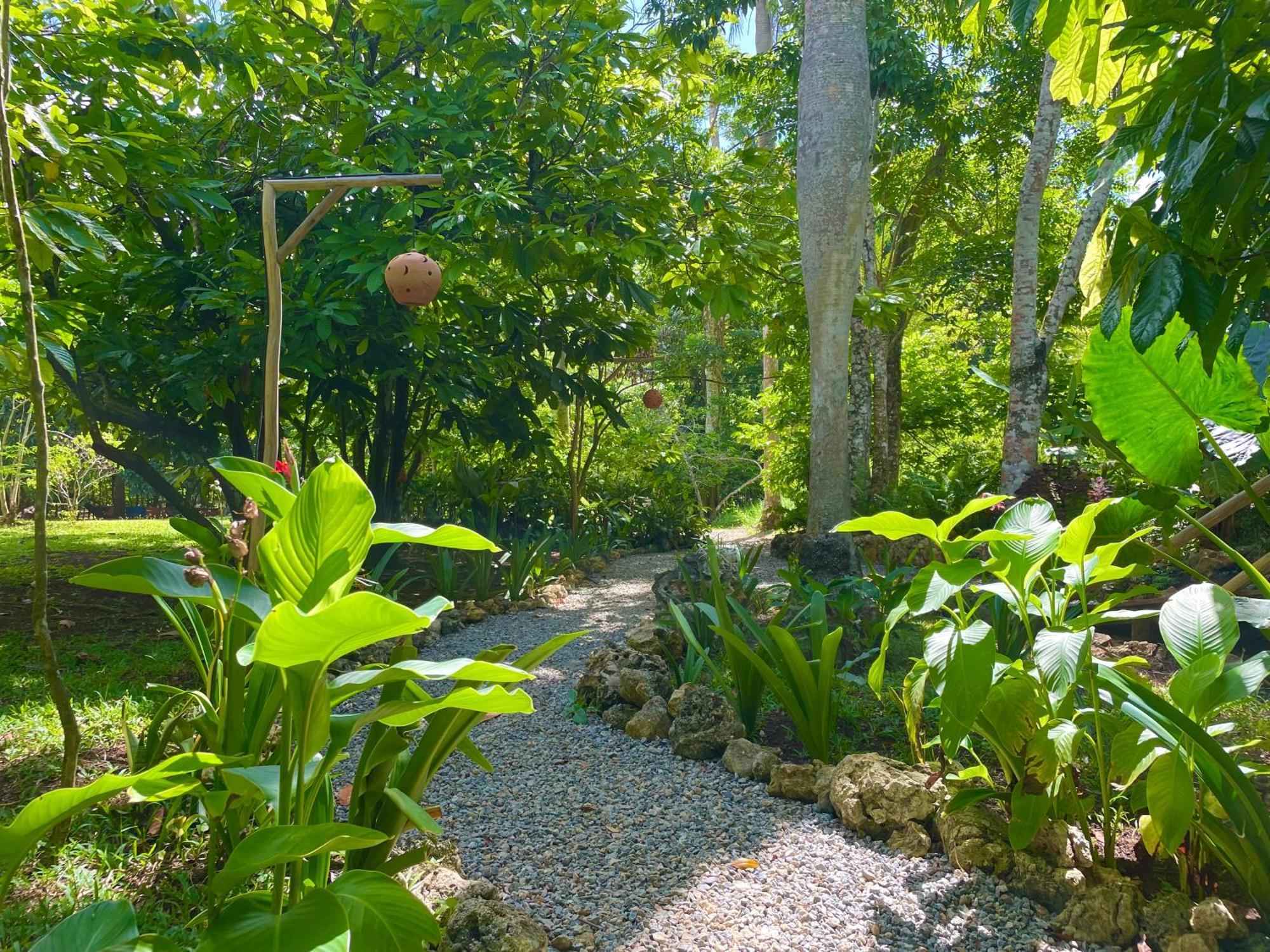 Rancho Romana Ecolodge Park V-01 El Limon Εξωτερικό φωτογραφία