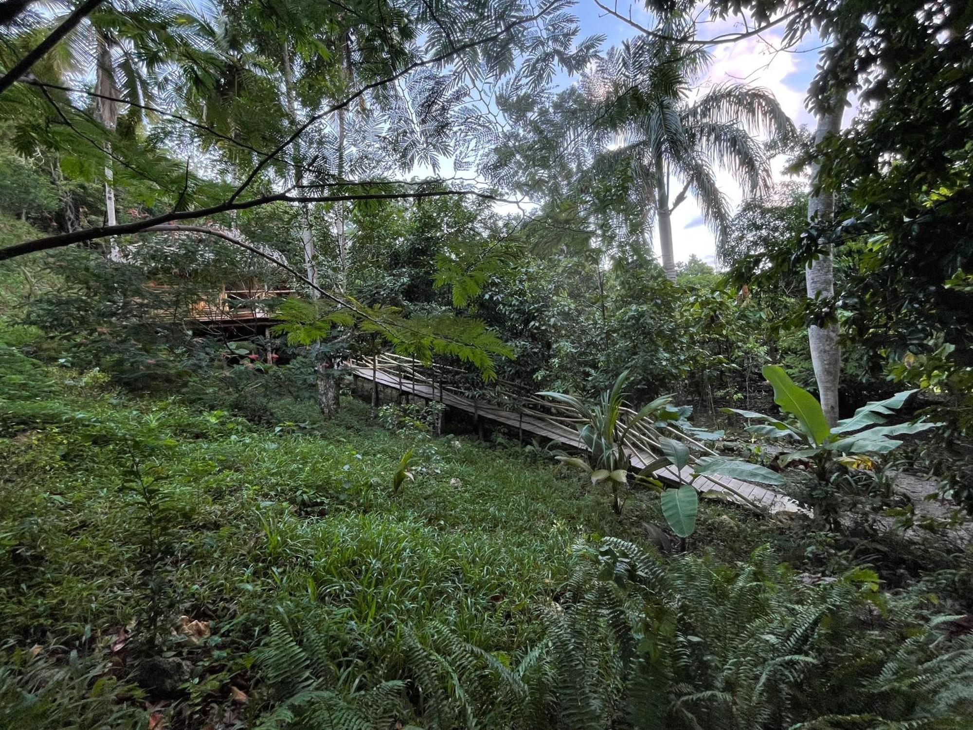 Rancho Romana Ecolodge Park V-01 El Limon Εξωτερικό φωτογραφία